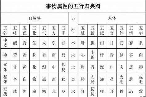 喬五行|乔字的五行属性